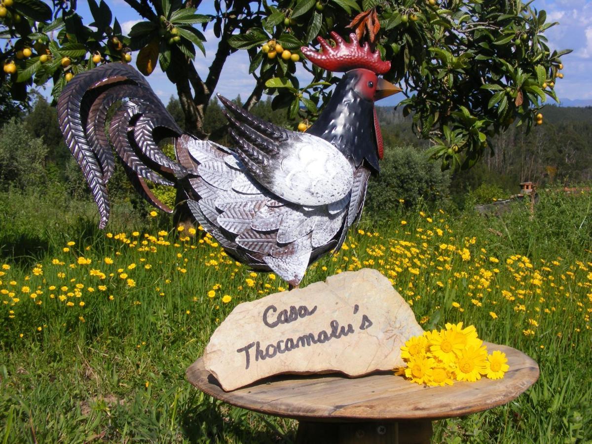 Apartmán Casa Thocamalu'S Covelo  Exteriér fotografie